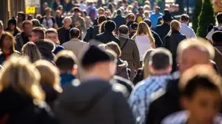Technologia, która "wstrząsnęła" branżą