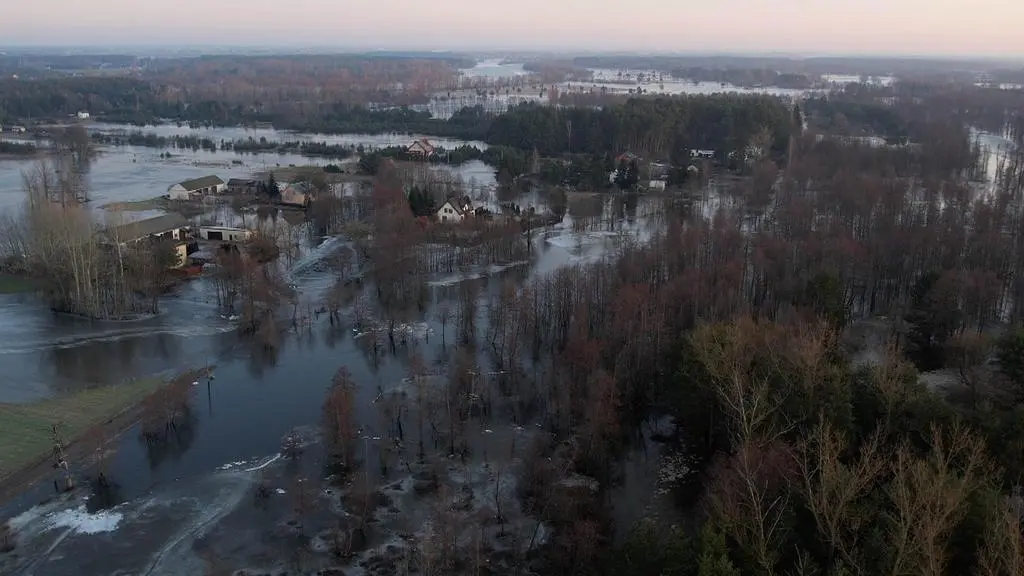 Mazowsze. Wysoki poziom Bugu i podtopienia. Eksperci tłumaczą jak temu ...