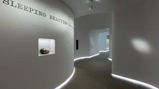 Wystawa "Sleeping Beauties: Reawakening Fashion"