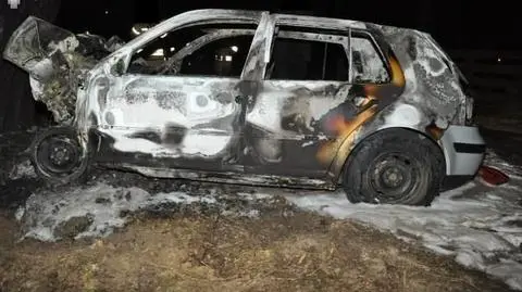 Samochód uderzył w drzewo i stanął w płomieniach. Kierowca nie żyje