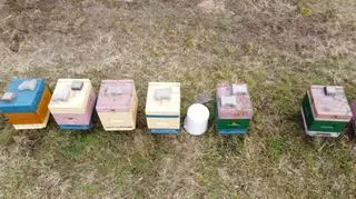 Właściciele oszacowali już straty