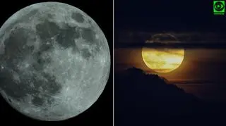 Pełnia Kwiatowego Księżyca	