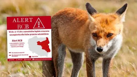 Alert RCB. "Z samolotów będzie zrzucana szczepionka"