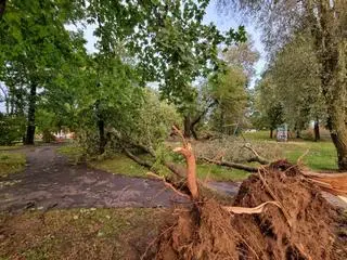 Skutki nawałnicy w parku Jordanowskim