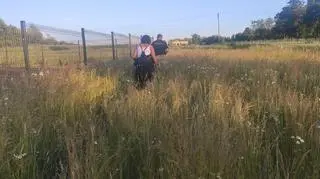 W poszukiwania kucyka zaangażowali się mieszkańcy i ochotnicza straż pożarna z Adamowa