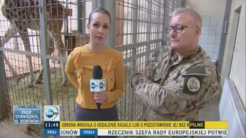 Żyrafa urodziła się w zoo w Opolu