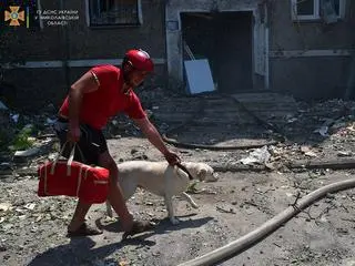 Akcja ratowania zwierzęcia zakończyła się sukcesem 