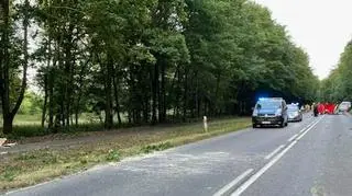 Na motocyklistę spadło drzewo
