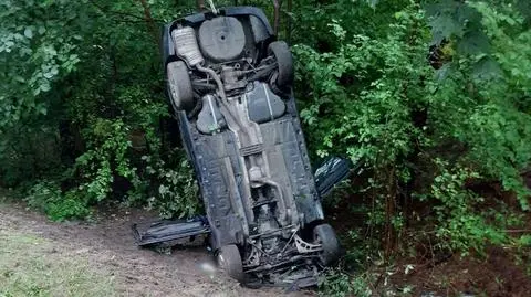Omijał sarnę. "Zatrzymał się na drzewie, stawiając auto w pionie" 
