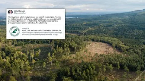 "Niemcy prawie już nie mają lasów"? Sprawdzamy