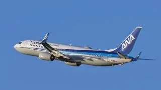 Boeing 737 (zdjęcie poglądowe)