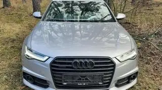 Porzucone auto w lesie