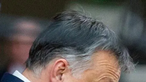 Sojusznicy