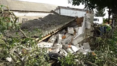Na jezdnię wyskoczyło zwierzę. Kierowca skręcił i uderzył w budynek