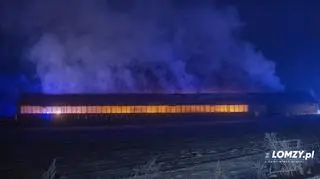Pożar objął całą oborę, padło ponad 100 krów