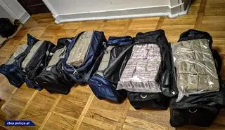CBŚP przejęło niemal 150 kilogramów haszyszu o wartości ośmiu milionów złotych
