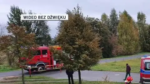 dla Oli 2 30sekund