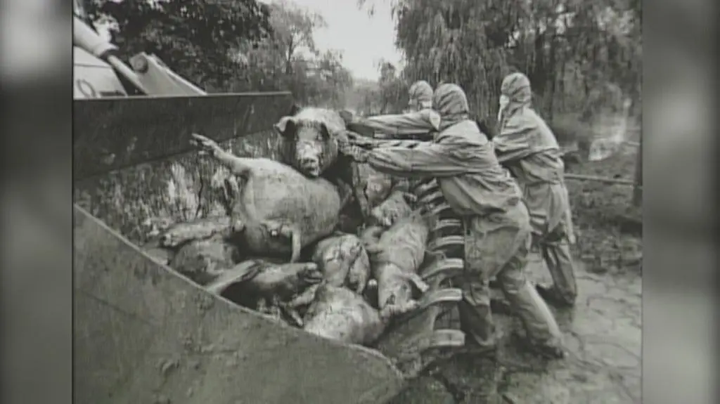 Powódź 1997 r. na zdjęciach Macieja Skawińskiego (materiał Faktów TVN z 1998 r.)