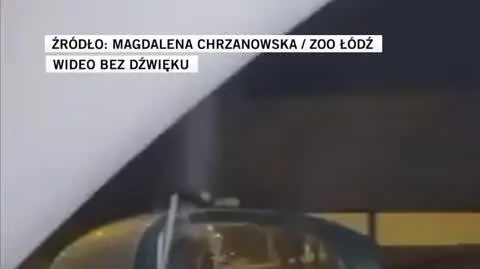  ZOO Łódź