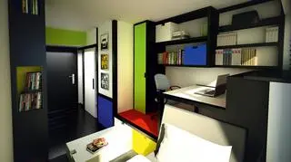 Mieszkanie w stylu mondrian green