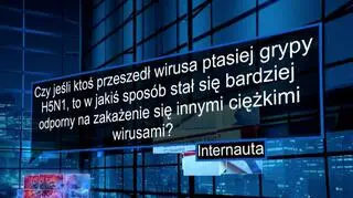 Czy jeśli ktoś przeszedł wirusa ptasiej grypy, to jest bardziej odporny na zakażenia innymi ciężkimi wirusami? Ekspert odpowiada (wideo archiwalne z 2020 roku)