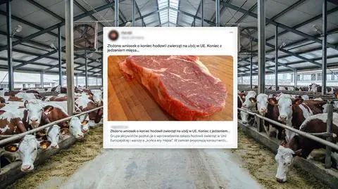 Koniec hodowli zwierząt na ubój w UE? Tłumaczymy, skąd ten przekaz