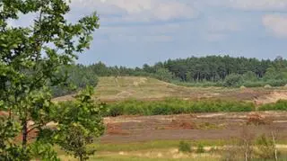 Wrzosowisko z dalszej perspektywy