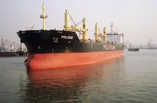MS Polesie
