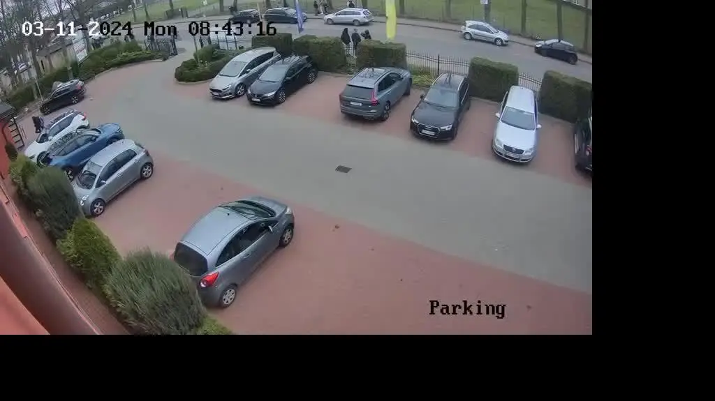 b8e9c46d-458b-4b74-9354-174c8c52612d