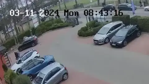 b8e9c46d-458b-4b74-9354-174c8c52612d