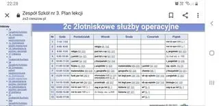 Plan lekcji z rzeszowskiego technikum