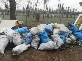 Straż miejska naliczyła łącznie 130 worków. Rozłożone są w kilku punktach miasta  
