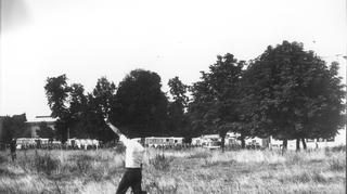 Archiwalne zdjęcia z demonstracji