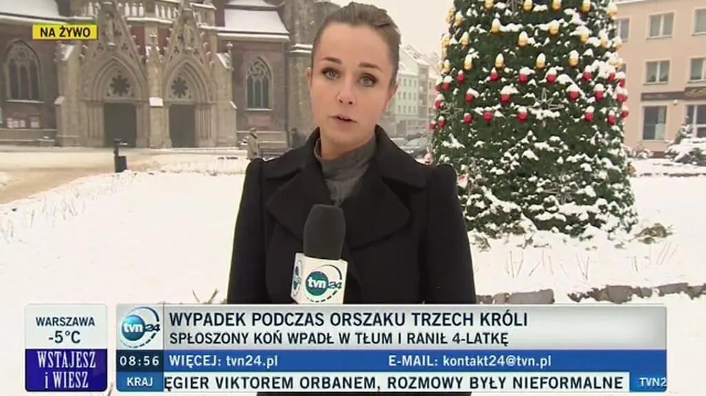 Wypadek podczas Orszaku Trzech Króli. Koń staranował 4-latkę