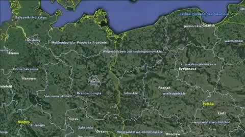 Niedźwiedź
