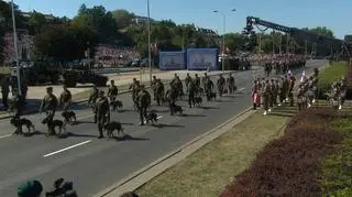 Udział psów w wojskowej defiladzie 15 sierpnia