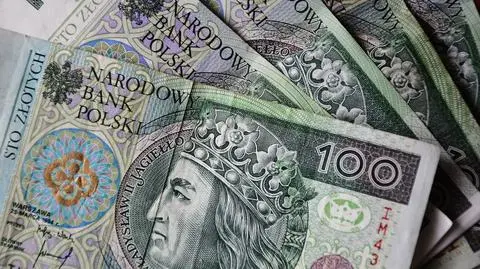 Osłabianie złotego lekko wyhamowało. Kursy walut