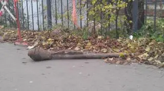 Wykopali panzerfausta