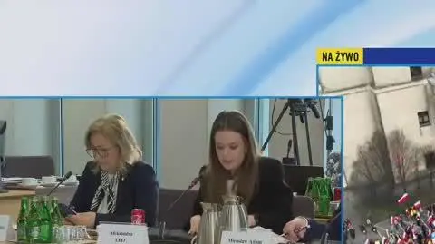 ALE MEKSYK