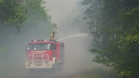 Płoną hektary lasu. W akcji śmigłowiec Black Hawk ze swoim "bambi bucket"
