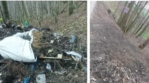 Wyrzucił śmieci na działkach, przyłapany posprzątał i przeprosił 