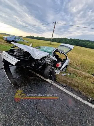 Poszkodowane zostały wszystkie osoby uczestniczące w wypadku