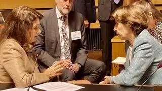 Ann Linde podczas negocjacji w Brukseli