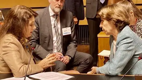 Ann Linde podczas negocjacji w Brukseli