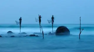 Wyróżnienie: Stilt Fishing