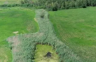 Martwe koryto rzeki Ełk