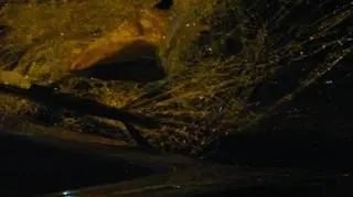 Wjechał w trzy osoby na pasach