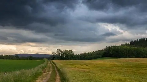 Pogoda na dziś: piątek będzie deszczowy, może też zagrzmieć