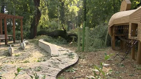 Kraków po przejściu nawałnicy. Na samochody spadały gałęzie, banery reklamowe