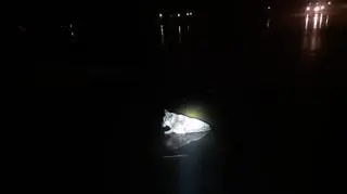 Sonia utknęła na zamarzniętym jeziorze
